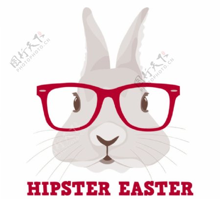 戴红色眼镜框的兔子