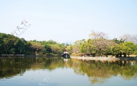 洪湖公园一景