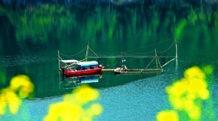 小船捕鱼湖水花草绿色春天