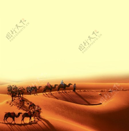 新疆红枣沙漠