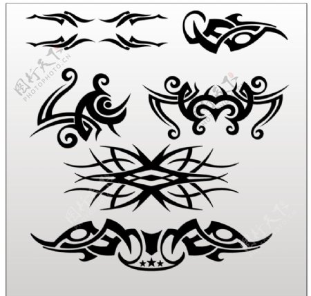 部落艺术纹身