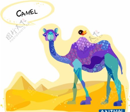 彩绘骆驼矢量素材