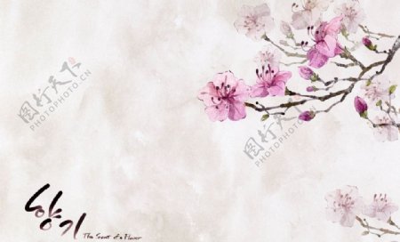 韩版手绘花朵背景图
