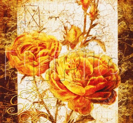 花卉油画60厘米X60厘米