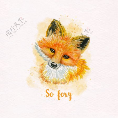 手绘水彩可爱的狐狸