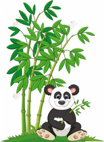 熊猫树叶竹林