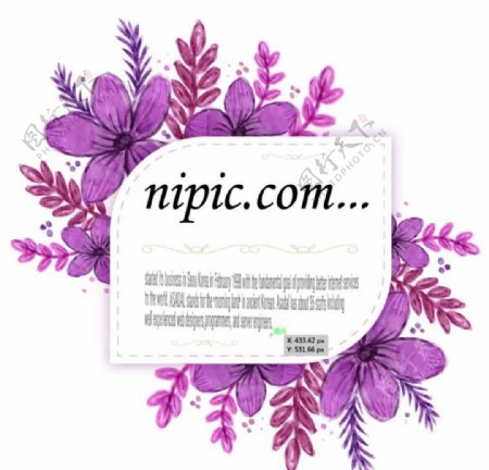 紫色水彩梅花矢量标签