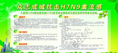 健康教育专栏H7N9