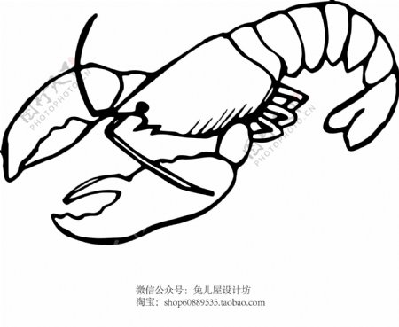 AI失量海洋生物龙虾卡通插画