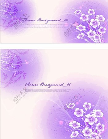 清雅紫色调花朵图案