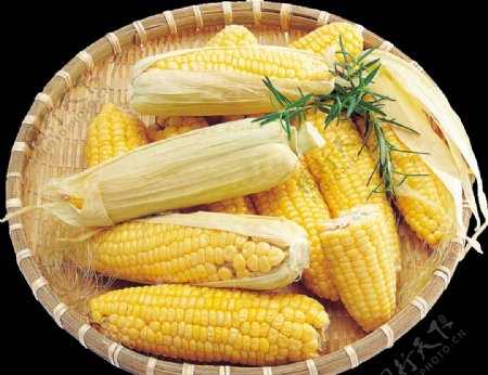 玉米苞米玉米晾晒干玉米