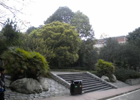 自然景观台阶