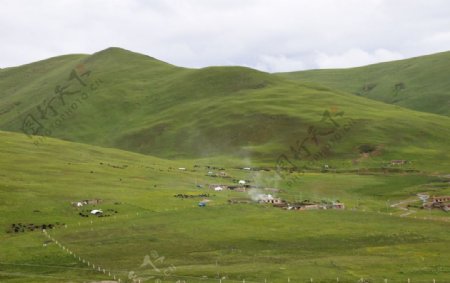 西藏牧民