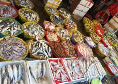 品种繁多的鱼市场