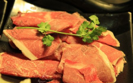 牛肉牛排火锅肉