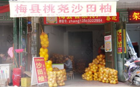 卖柚