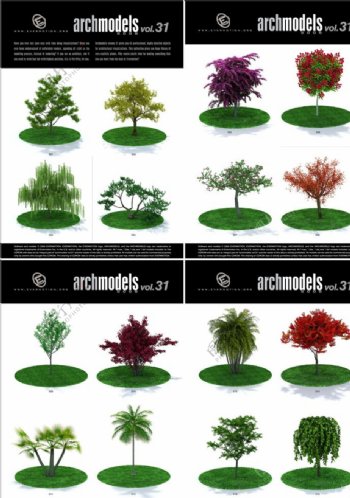 园林植物模型