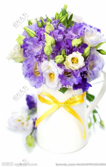 紫色植物花朵花瓶