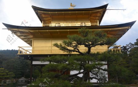 京都金阁寺