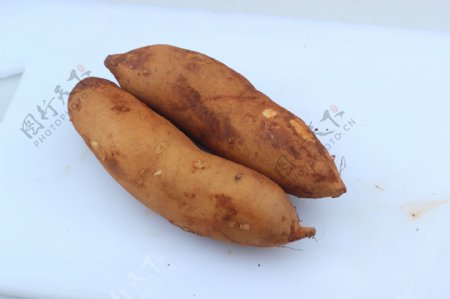 雪莲果菊薯