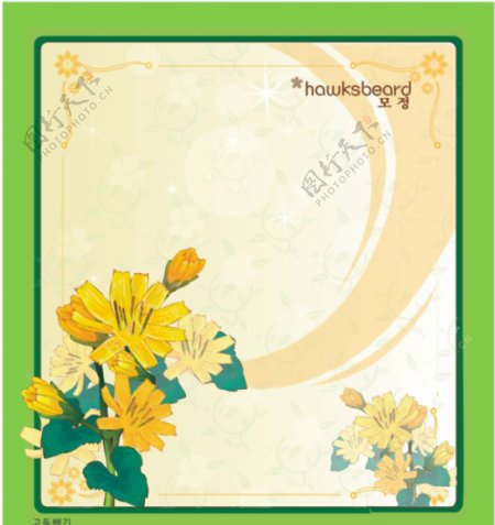 绿色边框和黄鹌菜花