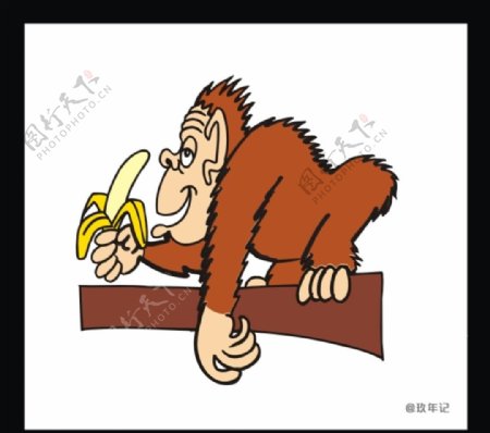 猿枝杈香蕉动物去皮吃