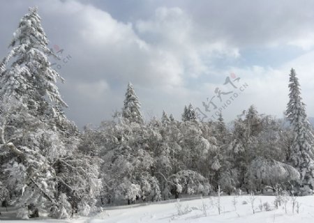 雪乡