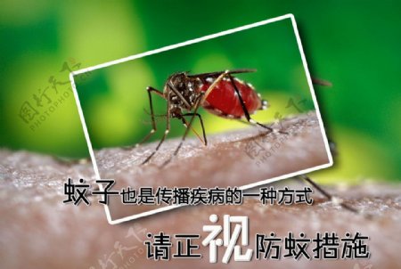 防蚊公益广告