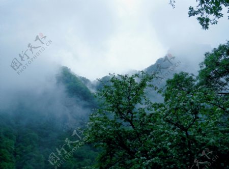 太平山云雾旅游