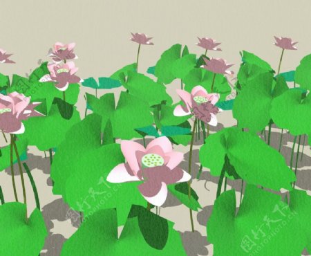 SU植物模型睡莲