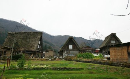 田园风光