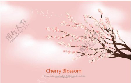 粉底春季樱花海报