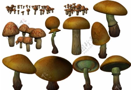 3D蘑菇素材