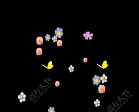 花卉动态背景视频