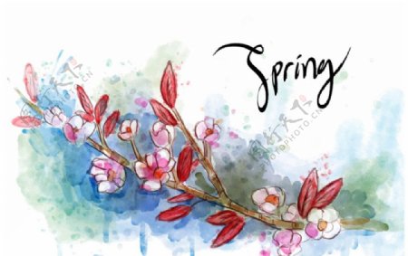 手绘水彩春季花卉花枝背景