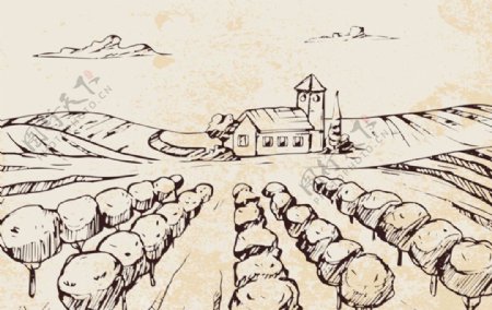 手绘素描农庄风景插图