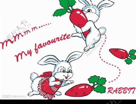 卡通白兔服装印花