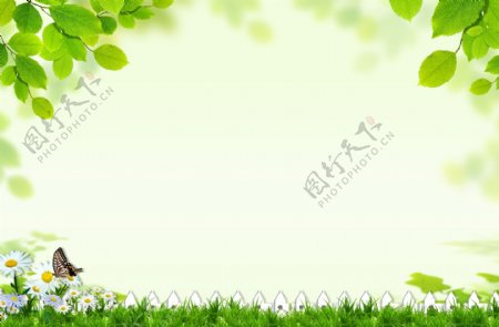春蝴蝶绿树绿色草清风