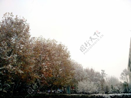 初雪风景图冬天