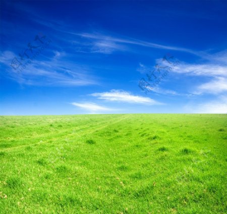 蓝天下一望无际的草地高清风景图片图片