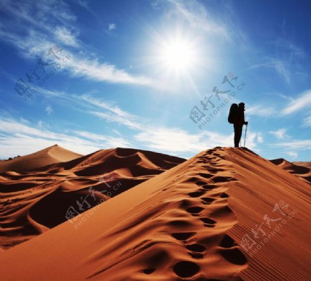 沙漠探索者图片