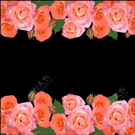 红色玫瑰花边免抠png透明图层素材