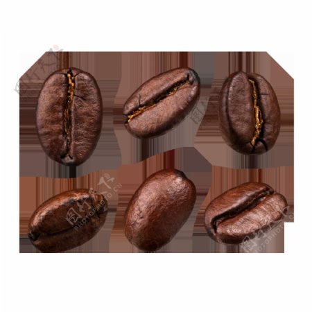 食品坚果咖啡豆元素