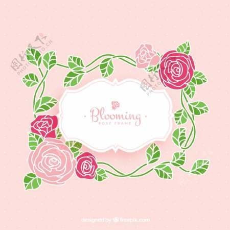 漂亮的玫瑰装饰花边框架粉红色背景