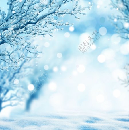 梦幻光斑与雪地风景图片