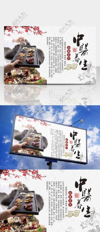 中华传统中医养生文化宣传海报