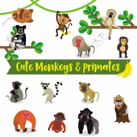 可爱的猴子的动物卡通在白色背景插图