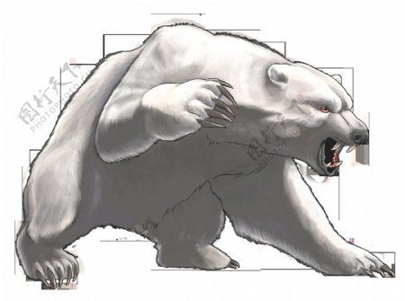 手绘凶狠的北极熊免抠png透明图层素材