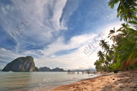 美丽椰树海滩风景图片
