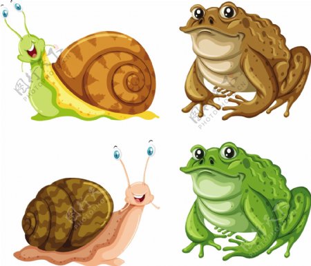 青蛙蜗牛癞蛤蟆插图矢量素材